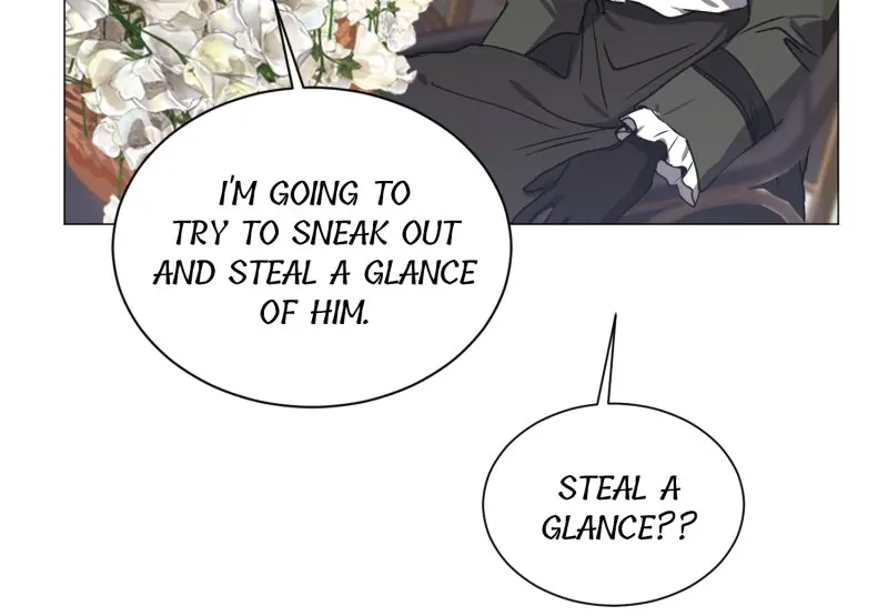 42337483 800 555 26052