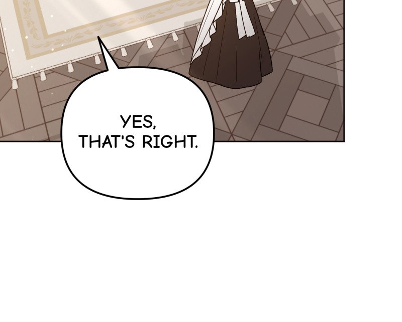 50297882 800 642 40235